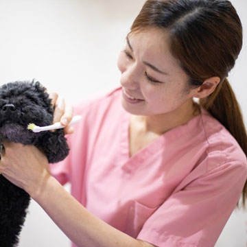 プロムミー麗菜