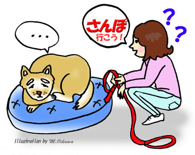 熱中症の特徴は「対応が高くなる」