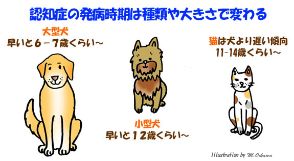 認知症の発病時期は種類や大きさで変わる