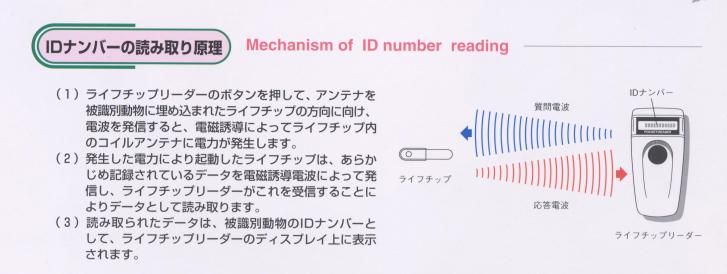 IDナンバーの読み取り原理