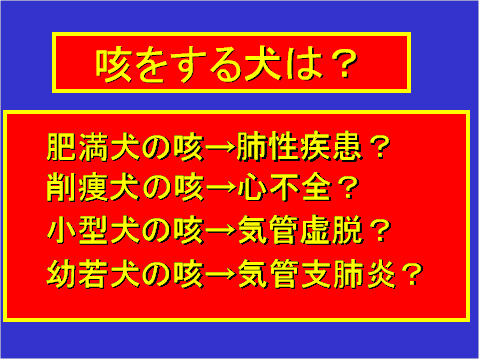咳をする犬は?