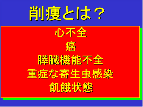 削痩とは?